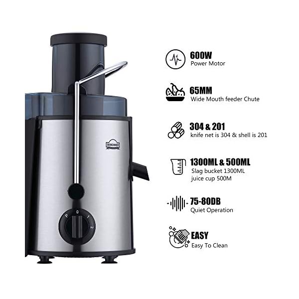 Juicer Machine,DEWINNER Stainless Steel Fruit and Vegetable Juice Extractor Fountain Cold Maker, Centrifugal Fountain with 2 Speed Settings, BPA-Free, Easy Clean Dishwasher Safe with Gift