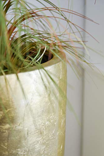 Vivanno Pflanzkübel Pflanzgefäß Blumenkübel Fiberglas City Gold Hochglanz - 100x47 – Bild 4