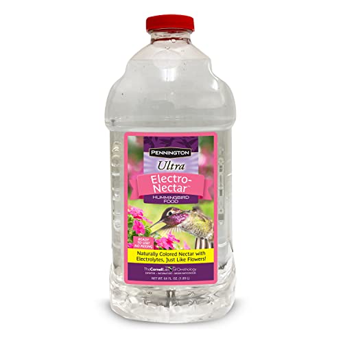 Pennington Electronectar Hummingbird Food Ready to Use Clear 64 ounces