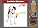 DESTROYER - Best Permanent Urine Stain and Odor Remover. No More Re-Marking. Dissolve and Neutralize the Urine Salts. Spot and Stain Gone for Good.