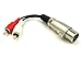 Birsppy BesYee XLR Y Splitter Patch Cable, 1 XLR Female to 2 RCA Male Adapter Cable 6inch (XLRFM-2RCAM)