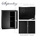 Superday Black Metal Storage Cabinet,Lockable Steel Storage Cabinet with Doors and 2 Adjustable Shelves,Utility Cabinets for Home and Garage