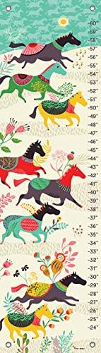 Oopsy Daisy Growth Charts Wild Horses by Helen Dardik, 12 by 42-Inch