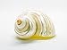 Hermit Crab Shells | Turbo Shells | Mother-of-Pearl Turbo Shell 1.75