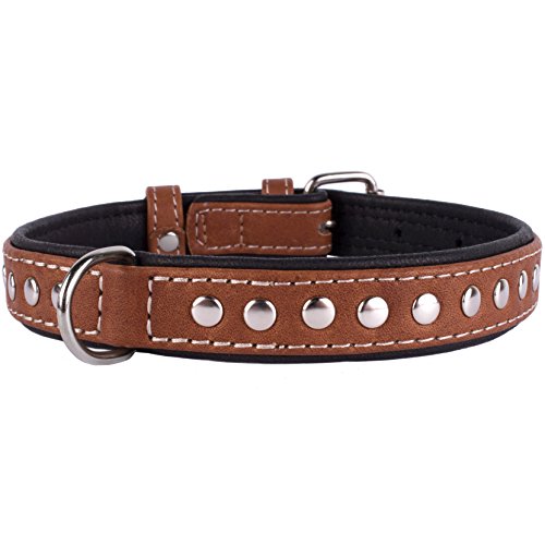 CollarDirect Studded Dog Collar Leather Pet Collars for Dogs Small