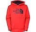 The North Face Logo Surgent Hoodie Boys