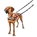 HALTI Front Control Harness - To Stop Your Dog Pulling on the Leash. Adjustable, Lightweight and Easy to Use. Anti-Pull Dog Training Harness for Large Dogs (Size L)