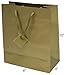 Novel Box Gold Gift Bags with Handles 10 Pack 8x4x10 Inches Large Paper Bulk Gift Bags for Business, Shopping, Birthday, Party Favor - Euro Tote Paper Bag for Groceries & Personal Use