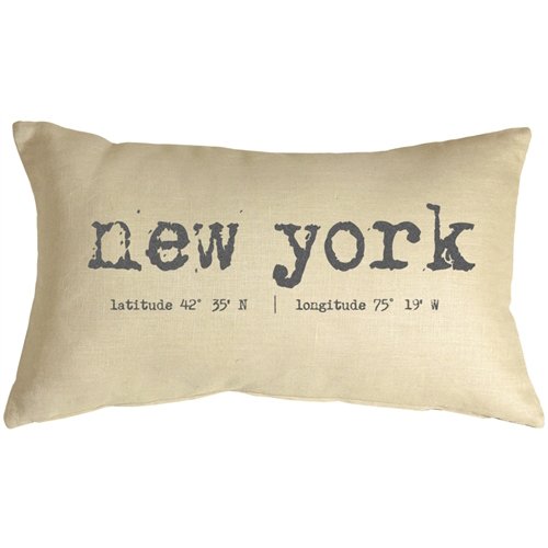 Amazon Com Pillow Decor Coordinates Throw Pillow New York Home