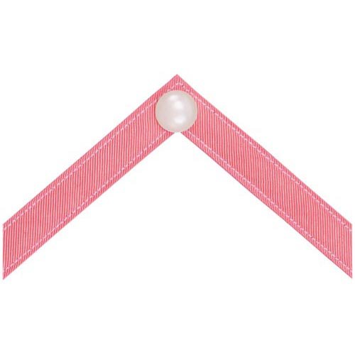 sierra's flip flops with interchangeable straps