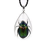 FOTTCZ Real Beetle Necklace, Real Beetle