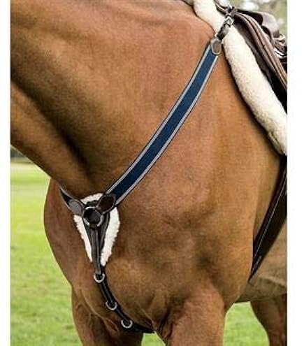 Poitrail Cheval Anglais Havana - Cuir Marron, Taille Cob/Arabe, Pour Concours