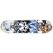 Ancheer Skateboard Complete Profession Wood Full Size Skate Board 31