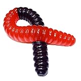 The Gummy Bear Guy | World's Largest Gummy Worm