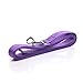 Nylon Dog Leash 4 Ft 5 Feet 6 Foot Long, Walking Training Dog Leashes for Medium Large Dogs, 1 Inch Wide (6ft, Purple)