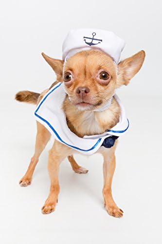 Pet Krewe Sailor Costume - Sailor Cat and Dog Costume for Small Dogs & Cats - Fits Neck Size 10” - 12.5” - Perfect for Halloween, Parties, Photoshoots, Gifts for Dog and Cat Lovers