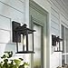 Emliviar Outdoor Wall Sconce, 1-Light Exterior Wall Lantern in Black Finish with Clear Seeded Glass, OS-1803EW1
