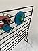 Busy Box Bird Foraging Toy | Interactive Treat Dispenser | Promotes Natural Foraging Behavior | Bird Cage Accessories for Medium to Extra Large Birds | Colorful Toys for Parrots, Cockatiel, Cockatoos