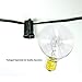 G40 Globe Lights Outdoor / Indoor String Lights with 100 Sockets and Bulbs, 100 Feet with 20 Extra Bulbs - Weather Resistant Light String for Patio, Deck, Backyard, Wedding, and More