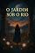 Livro O Jardim Sob o Rio