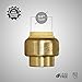 Everflow Supplies Pushlock Push-Fit Stop End UPSE34 3/4 Inch, Instant Push-Fit Connection Connects Copper Tubing, CTS CPVC & PEX Pipe in any Combination Compact, Brass Body Foundation