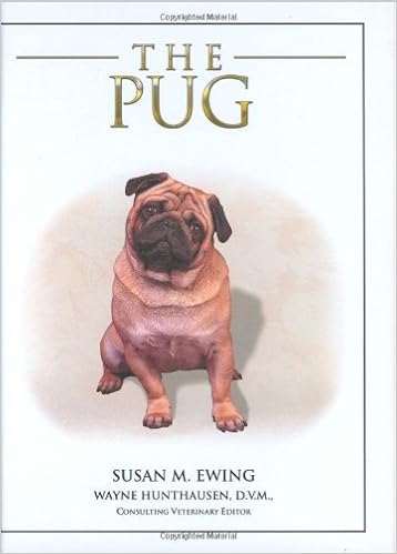 The Pug �n�[�h�J�o�[ - 2008/10/1