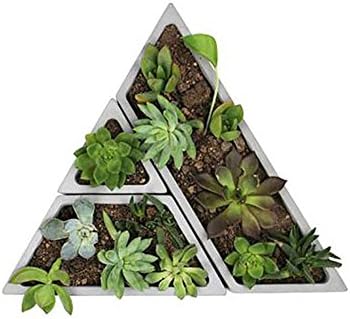 Anne210 Succulent Plant Flower Pot Silicone Mold Gypsum Cement Fleshy Flower Bonsai DIY Ashtray Candle Holder Mould