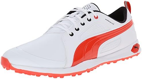 converse dainty ox white leather