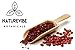 Naturevibe Botanicals Sumac Powder, 100gm (3.53oz) | Indian Spice | Seasoning