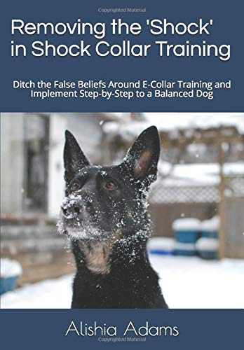 proper e collar training