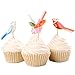 BETOP HOUSE Set of 24 Pieces Little Bird Garden Themed Cupcake Topper Picks for Baby Shower Birthday Party