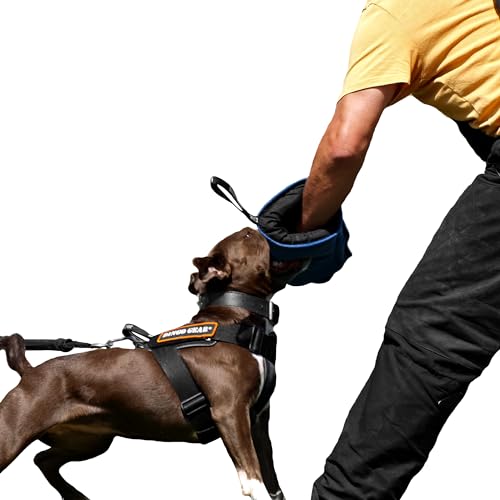 DINGO GEAR Soft Nylcot Mini Bite Sleeve with Handle and Grip Inside the Bite Guard for IGP, Dog Sports, Puppy, Young Dog Training, Blue, Bite Level 1 - Beginner (S01962)