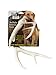 DogBone Shed Dog Training Dummy (White) | Dog Training Kit | Hunting Dog Accessories | Dog Training Tools | Dog Scent Training Kit | Scent Training for Dogs | Hunting Dog Toys