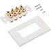 Buyer's Point Four Speaker Wall Plate, Premium Quality Gold Plated Copper Banana Binding Post Coupler Type