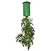Topsy Turvy Upside-Down Tomato Planter,Green,10Wx10Hx4D