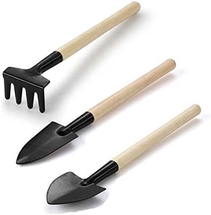 3 Pcs Garden Shovel, Bonsai Tool Set Include a Spade, a Rake and a Shovel, Wood Handle Metal Head