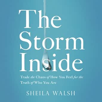 Amazon Com The Storm Inside Trade The Chaos Of How You Feel For