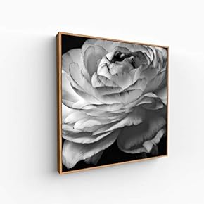 Canvas Wall Art for Living Room, Bedroom Monochrome Image Framed Canvas Prints for Home Decoration Ready to Hang - 16x16 inches