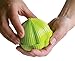 Koopeh Designs Chop garlic chopper, 1, Lime Green
