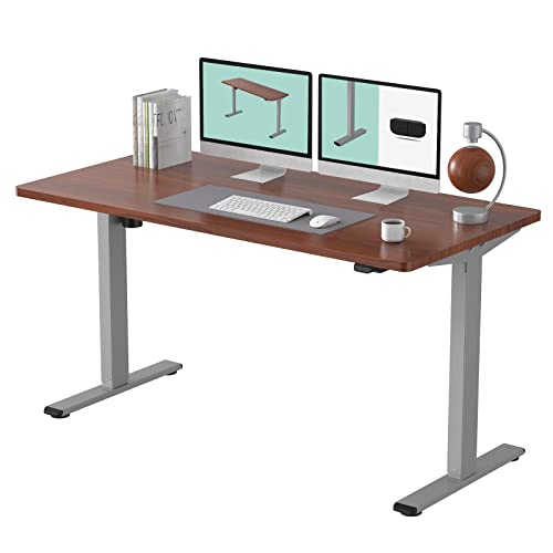 FLEXISPOT EC1 Adjustable Desk 55 x 28 Inches Stand Up Desk Workstation