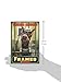 Framed (Swindle #3)