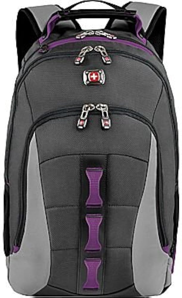 swissgear skyscraper backpack