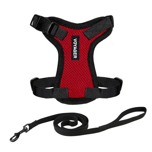 Voyager Step-in Lock Cat Harness and Reflective Cat Leash with Neoprene Handle by Best Pet Supplies - Supports Small, Medium and Large Breed Cats, Red/ Black Trim, size XS - 5ft