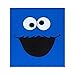 Sesame Street Cookie Monster Face Adult T-Shirt