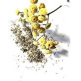 Organic Tansy Seeds (Tanacetum vulgare) 500 Seeds (0.1 Grams)