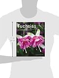 Image de Fuchsias: A Practical Guide to Cultivating Fuchsias, with over 500 Beautiful Photographs and Illustrations