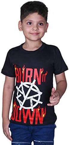 Step Shoes Black Cotton Round Neck Half Sleeve Seth Rollins t Shirt Burn it Down for Kids