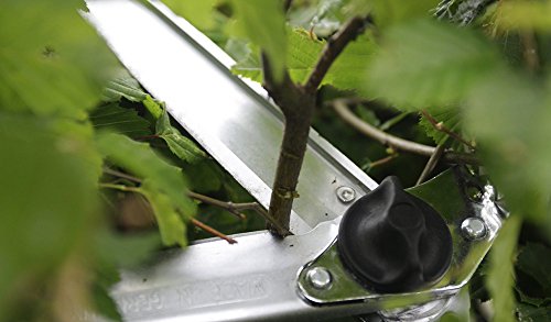 Berger hedge shear, wooden handle 4490 with straight blades, 2 sap grooves and wrist-gentle shock absorber