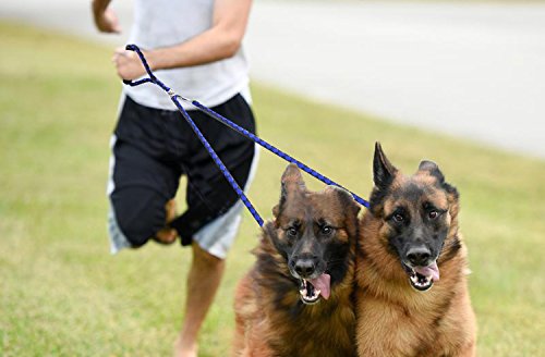 Startostar Detachable Double Dog Leash No-Tangle 2 in 1 Dual Pet Lead with Swivel Padded Handle for One or Two Dogs (Blue)