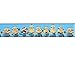 Despicable Me Minion Line Up Seatbelt Belt